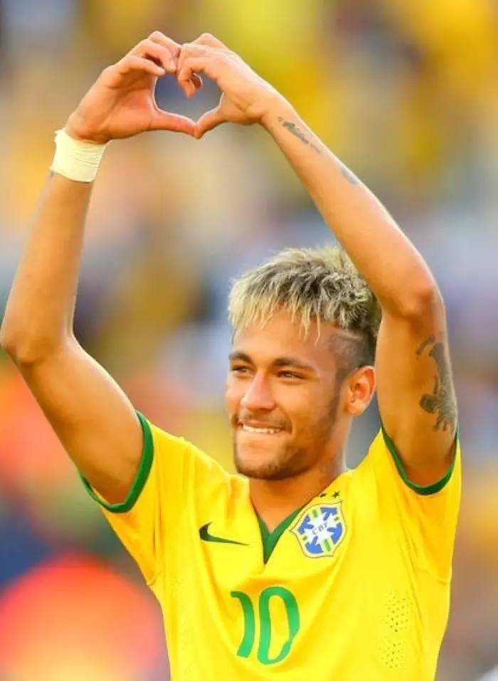 计划回归用 计划回归用